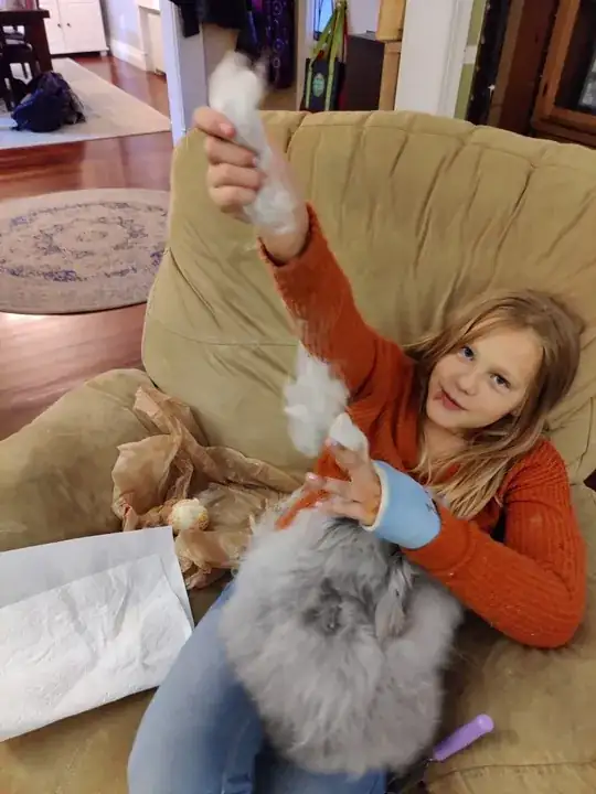 Luna during a weekly brushing