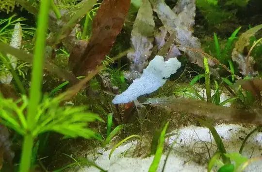 Foamy white structure