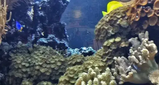 I want this fish tank