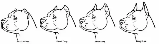 dog ear cropping styles