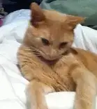 Sid