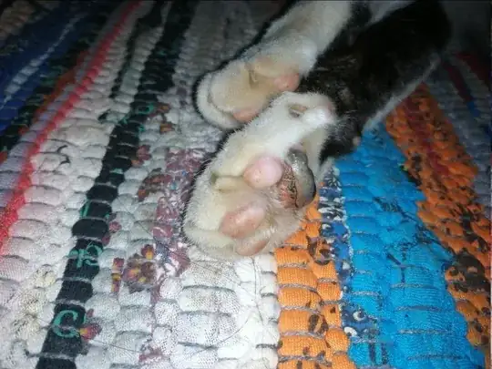 injured footpad picture 2
