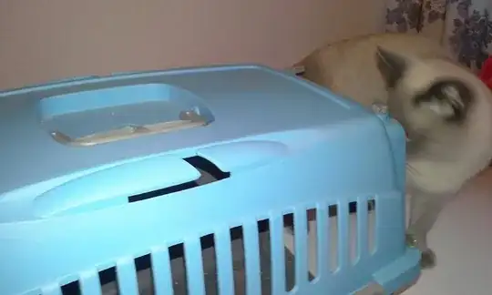 cat carrier with seatbelt slot
