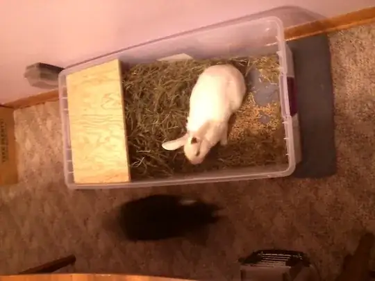 Lyra in the new box