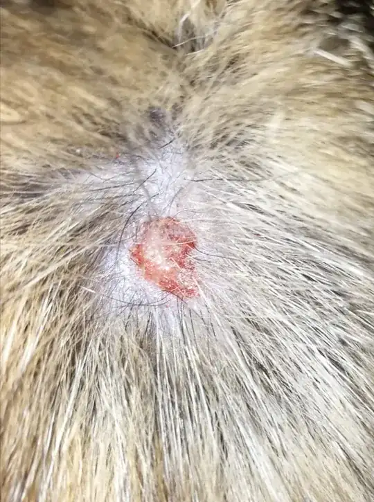 small wound