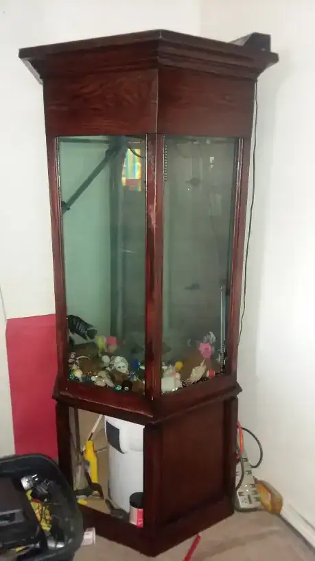 wooden fishtank, large