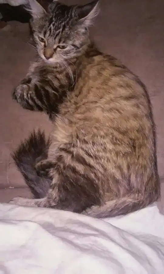 recovering from the traumatic event