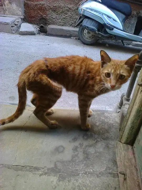 look at the wound increasing day by day due to rope