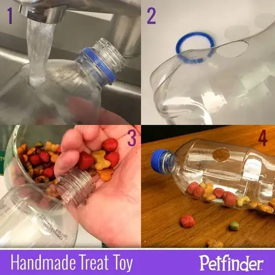DIY food dispenser bottle