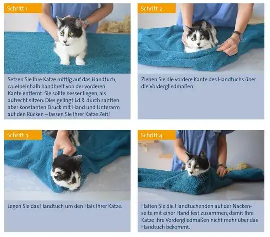 The first 4 of 10 steps