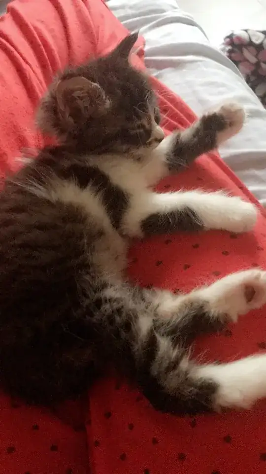 enter image description here