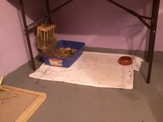Bunny litter box, with hay, water bowl, towel and tray under all