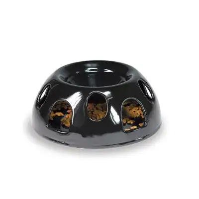 Photo of the Tiger Diner bowl