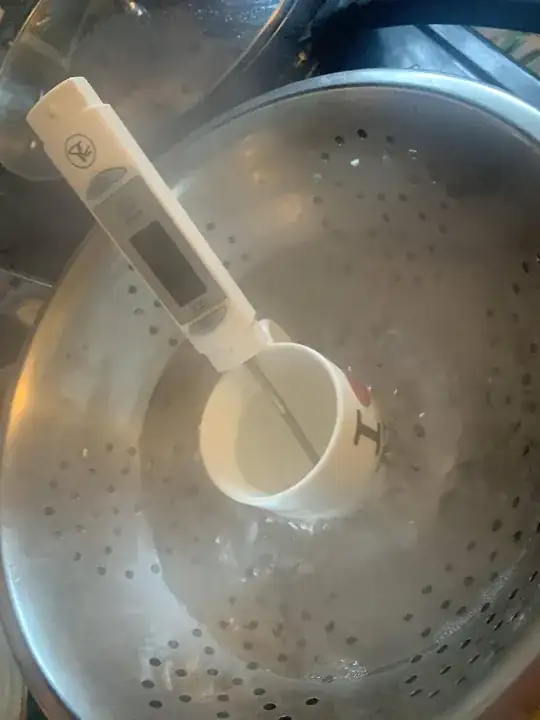 pic of experiment