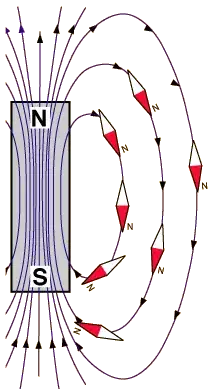Lines of magnetic field in a magnet