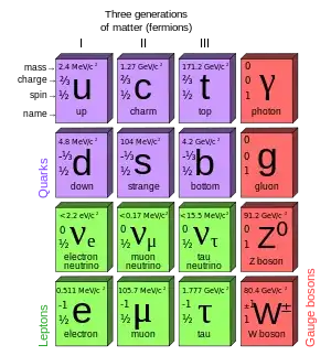 standard model