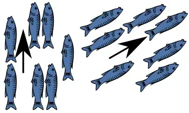 fish direction