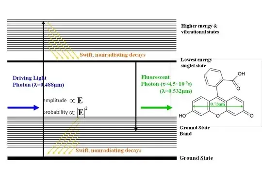 Fluorescein fluorescence