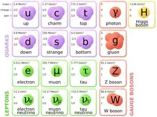 standard model diagram