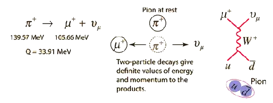 Pion Plus Decay