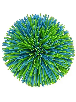 Ball toy