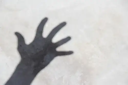 shadow