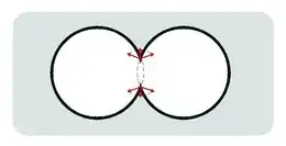 void intersection
