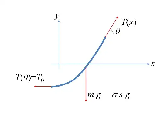 Catenary Section