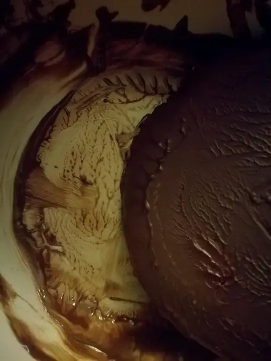 After re-heating chocolate that had solidified in a smooth bowl a complex, tree-like structure emerged.