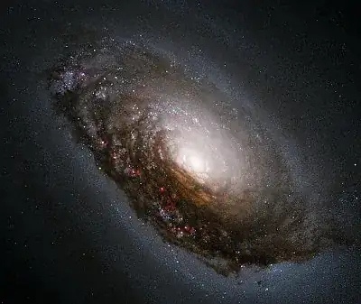 M64