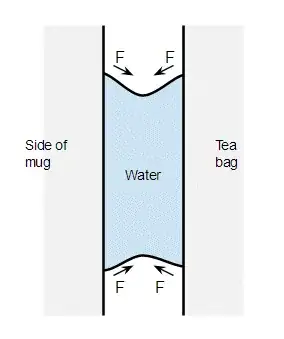 Capillary force