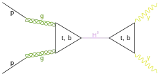 proton proton to higgs particle