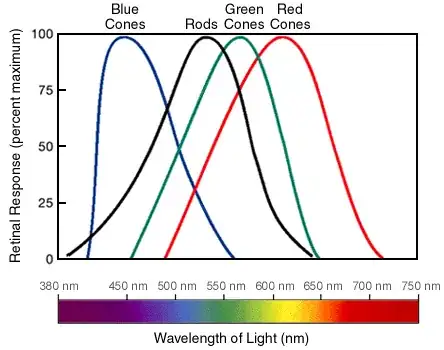 Rod and cone frequency responses