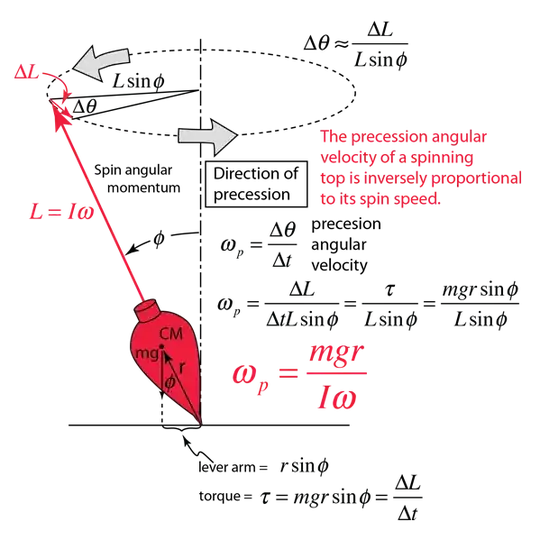 Precessing Top