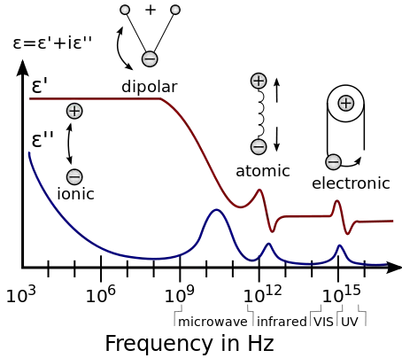 Dielectric response