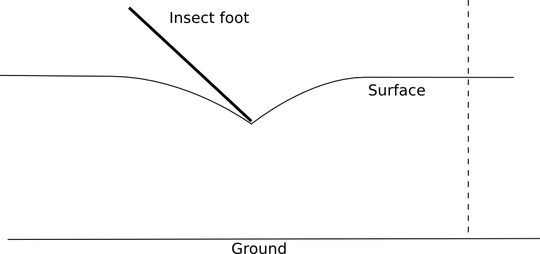 2Dschem-straightray
