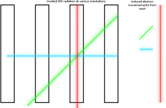 for polarization explanation