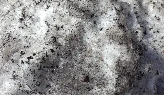 This is a close-up