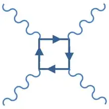 photon poton feynman graph