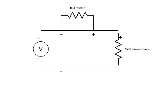 Resistance diagram with bird