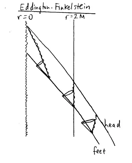 Head and feet in Eddington-Finkelstein coordinates