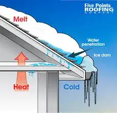 Ice dam
