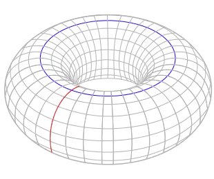 Two loops on the 2-torus