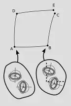 diagram of experiment with gyroscopes
