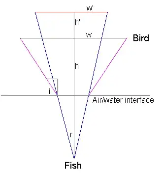 Fish's eye view