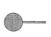 the tadpole diagram