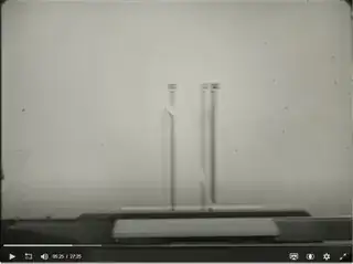 IveyHume-InertialInMotion-viewedInLab