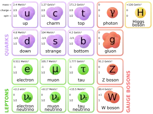 standard model