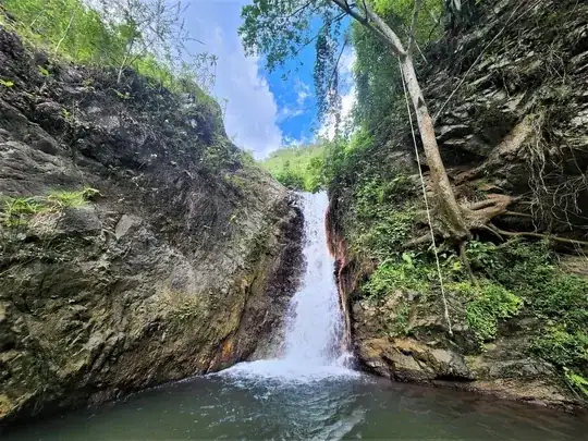 waterfall with a bit of whitewater continuing into relatively still water