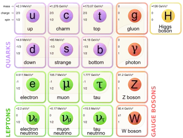 standard model particles
